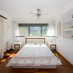 Steve\'S Dream